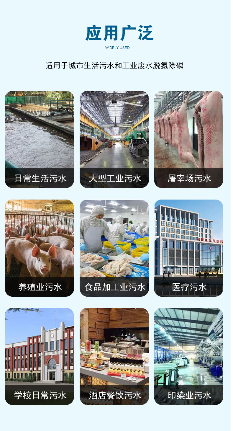 甲醇投加系统新的详情图_04.jpg